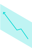 Web Development Services