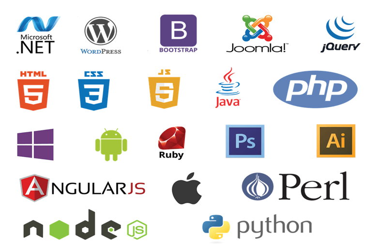 Web Development
